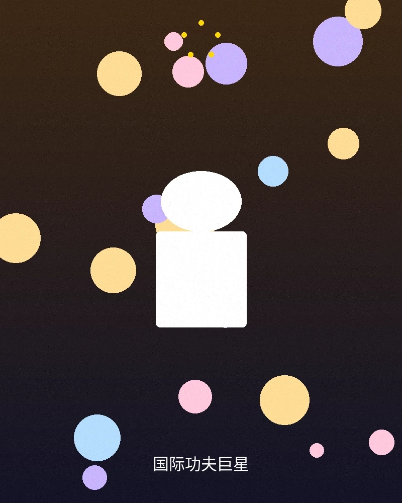 国际功夫巨星合作照片